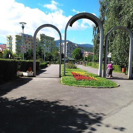 Apartament Nora Брашов Екстериор снимка