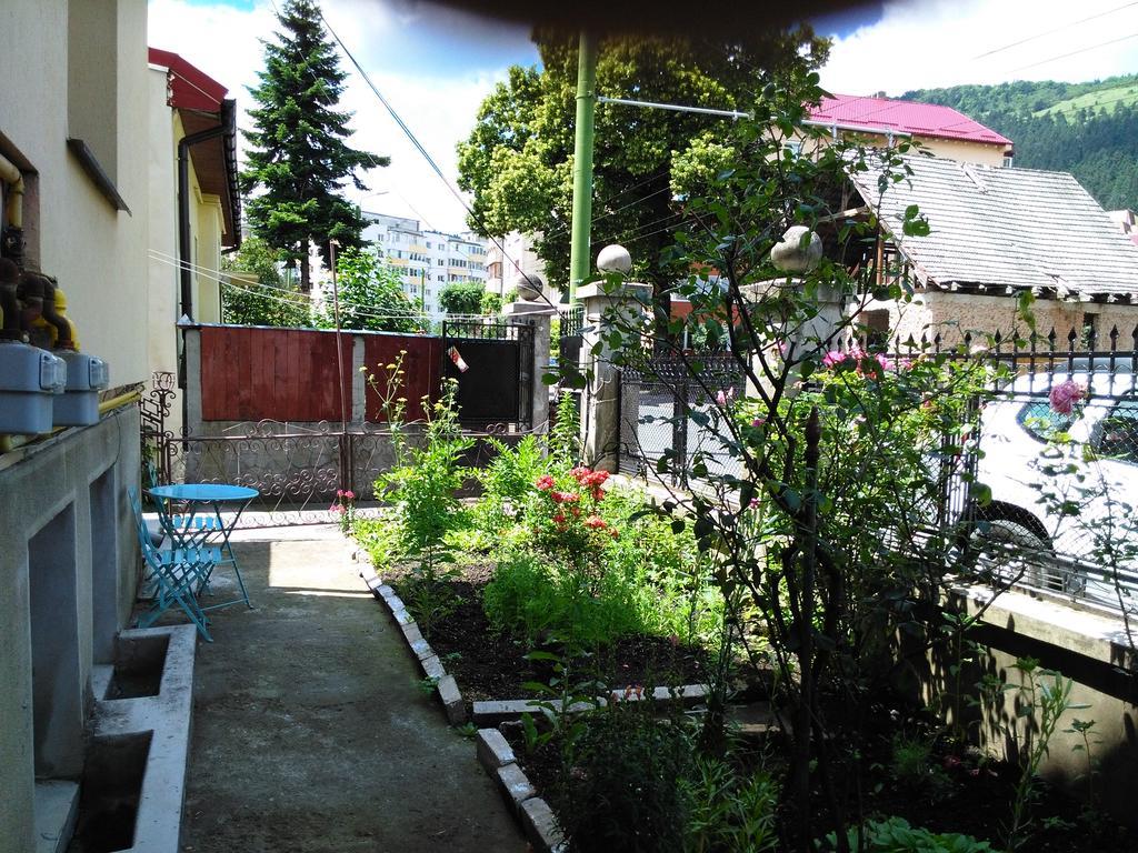 Apartament Nora Брашов Екстериор снимка
